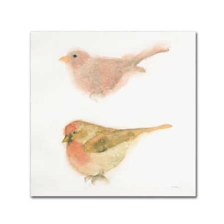 Shirely Novak 'Watercolor Birds II Sq' Canvas Art,18x18